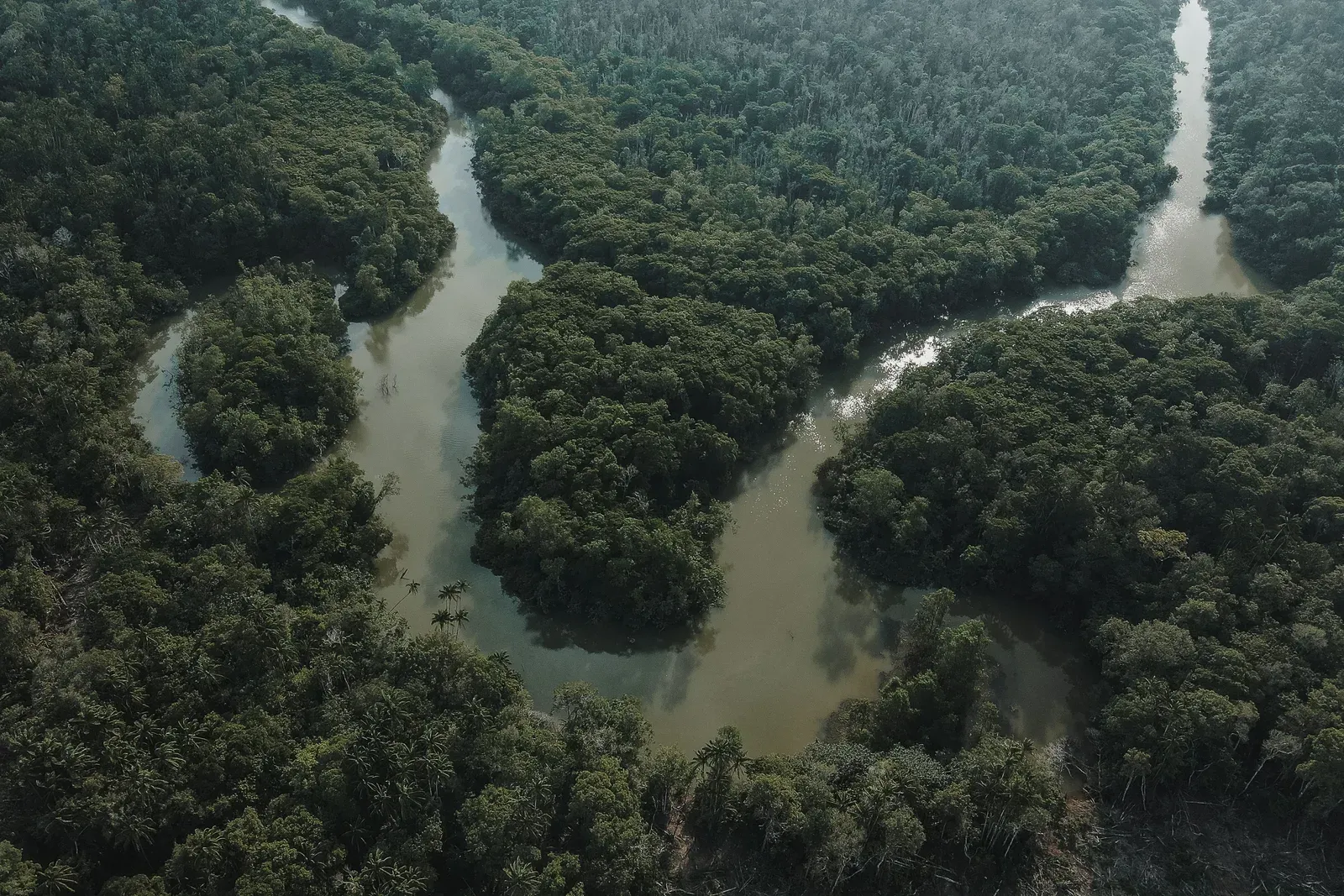 Drone sobrevoando região remota da Amazônia com cobertura de rede limitada
