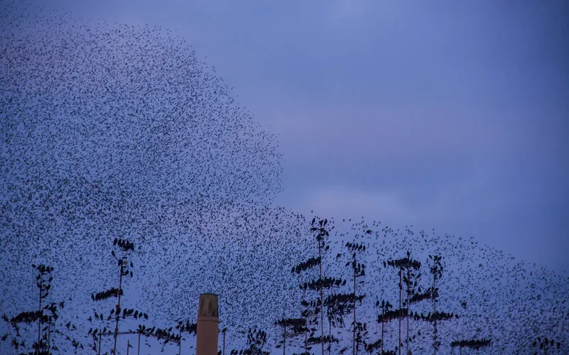 Múltiplos drones voando em formação coordenada no céu