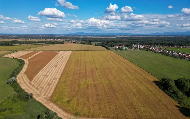 Drone agrícola branco pulverizando lavoura em campo nos Estados Unidos