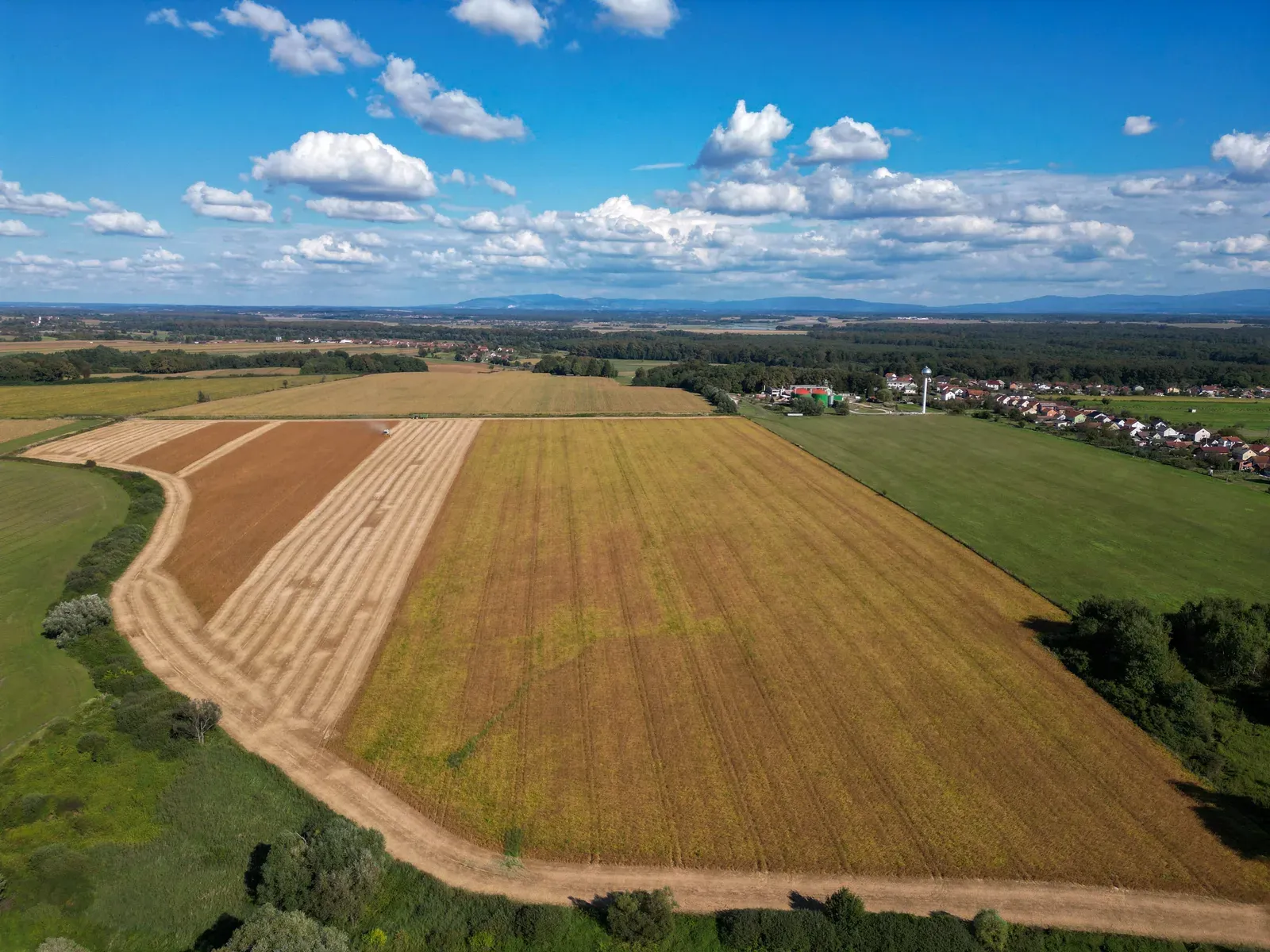 Drone agrícola branco pulverizando lavoura em campo nos Estados Unidos