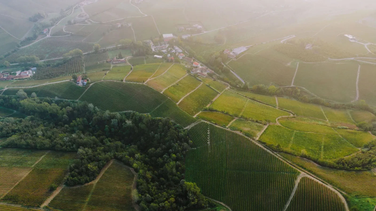 Spray drone flying over terraced vineyard on a steep hillside