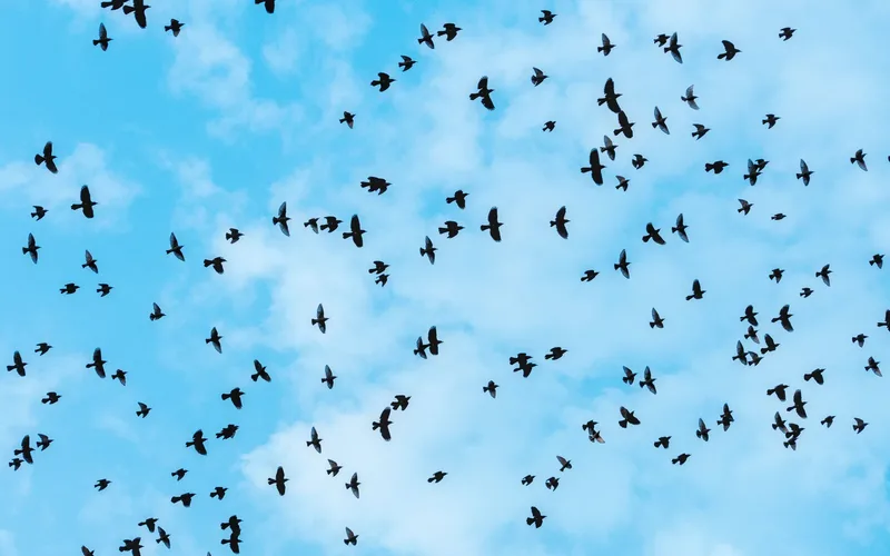 Vários drones voando em formação coordenada no céu