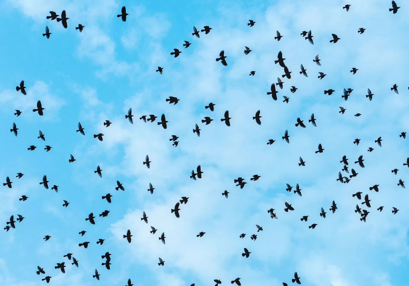 Vários drones voando em formação coordenada no céu