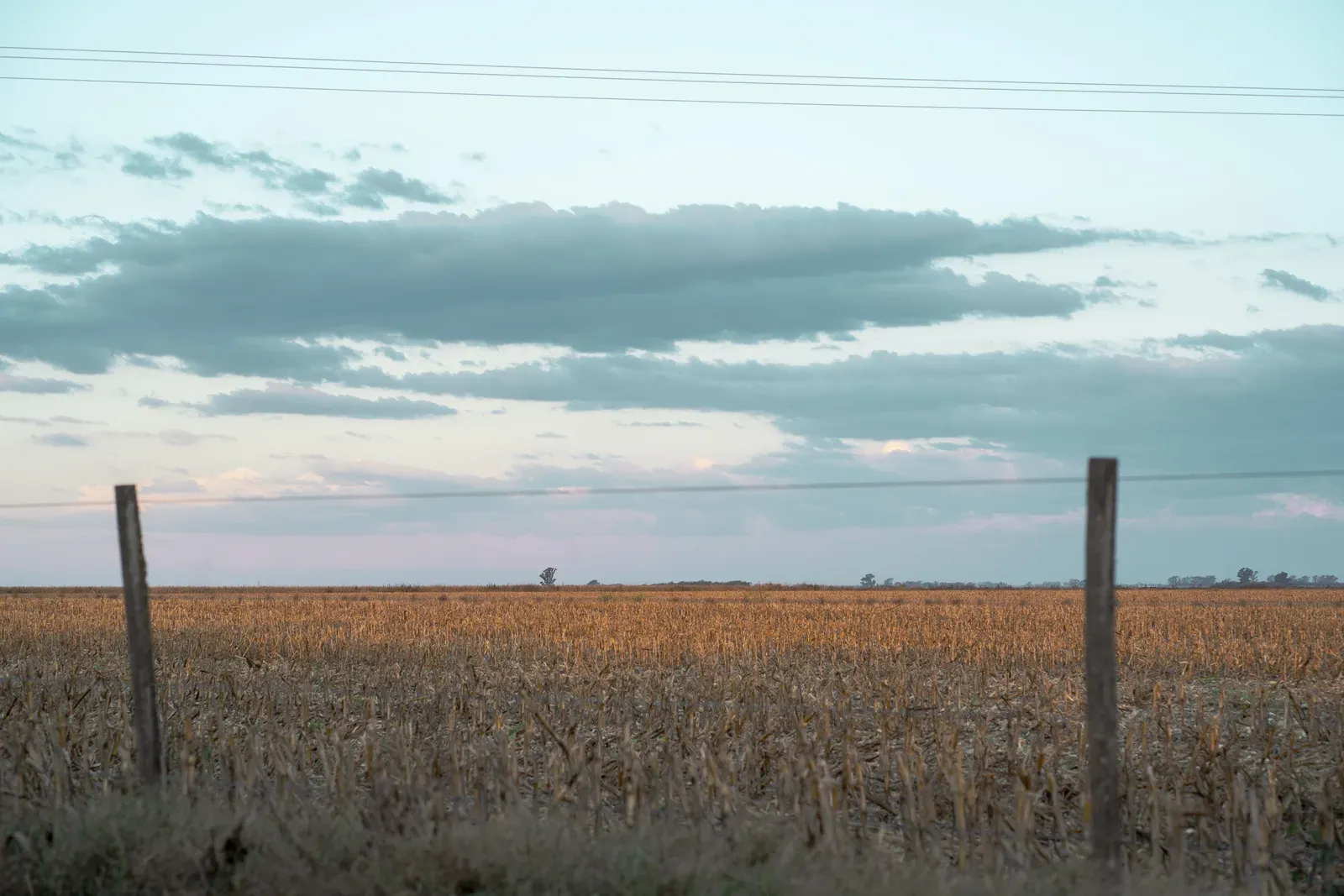 Extensa lavoura de milho no cinturão agrícola dos Estados Unidos ao pôr do sol