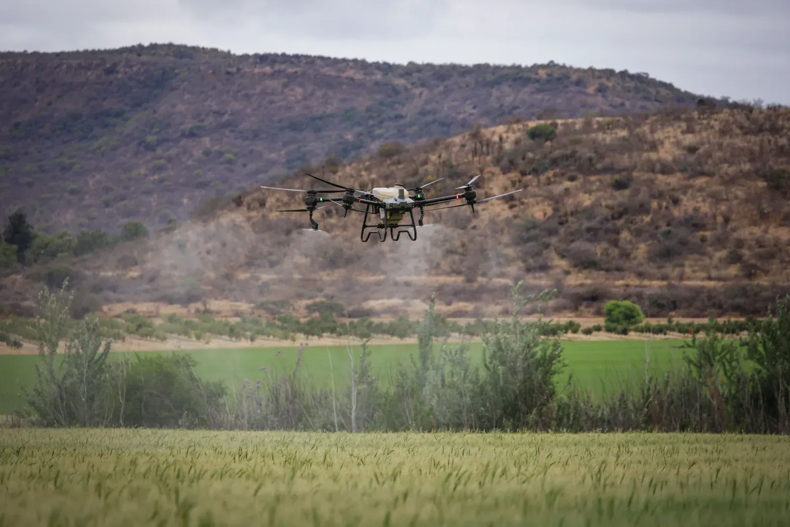 Agricultural spray drone releasing pesticide mist above a green crop field