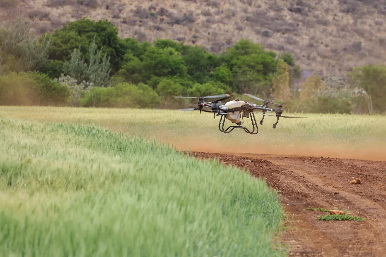 Large agricultural spray drone releasing mist over a green crop field