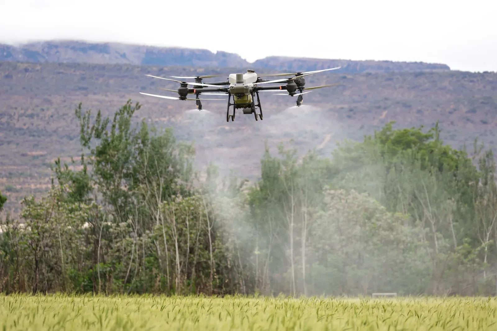 Drone agrícola pulverizando lavoura em área rural