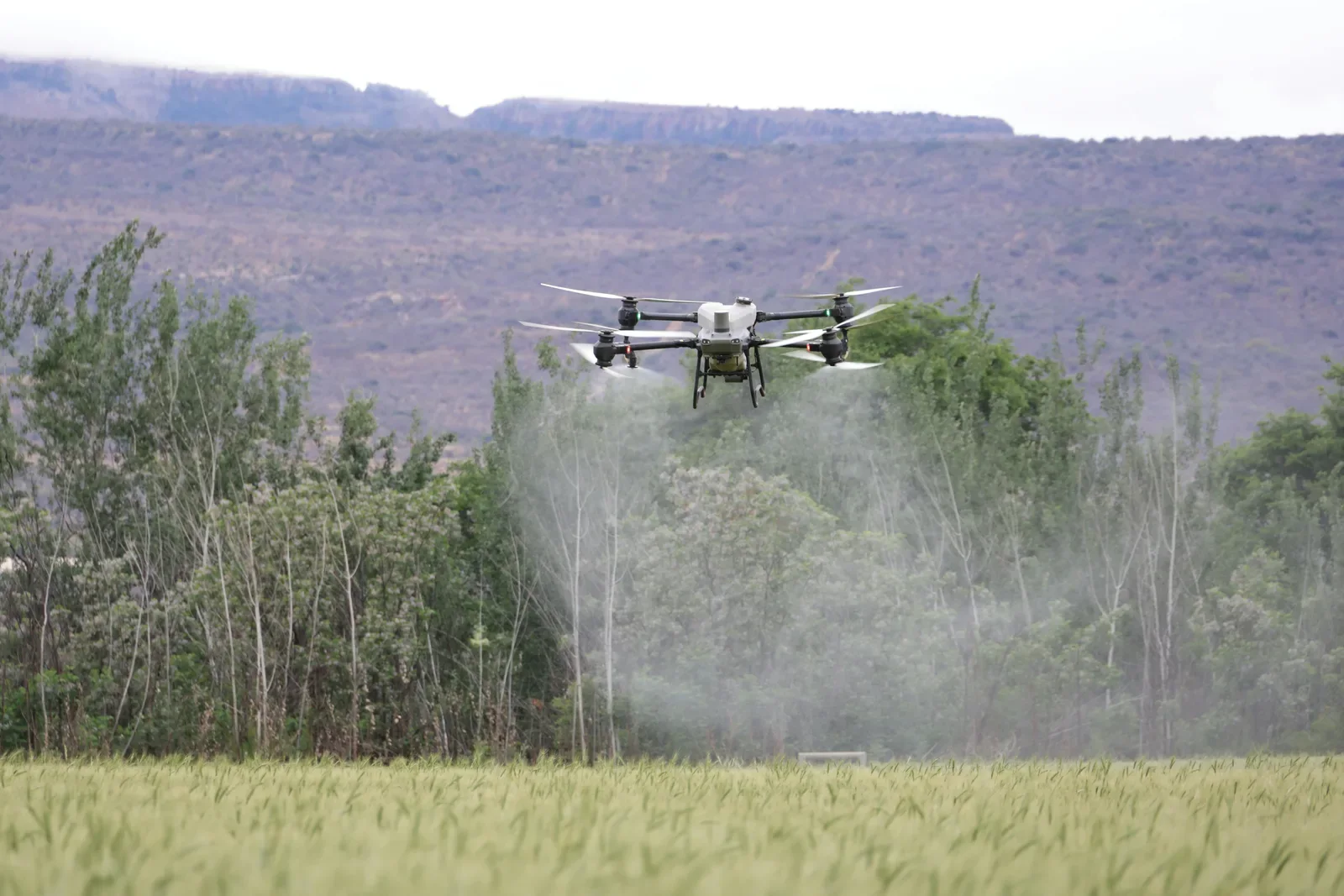 Drone agrícola pulverizando lavoura em fazenda brasileira