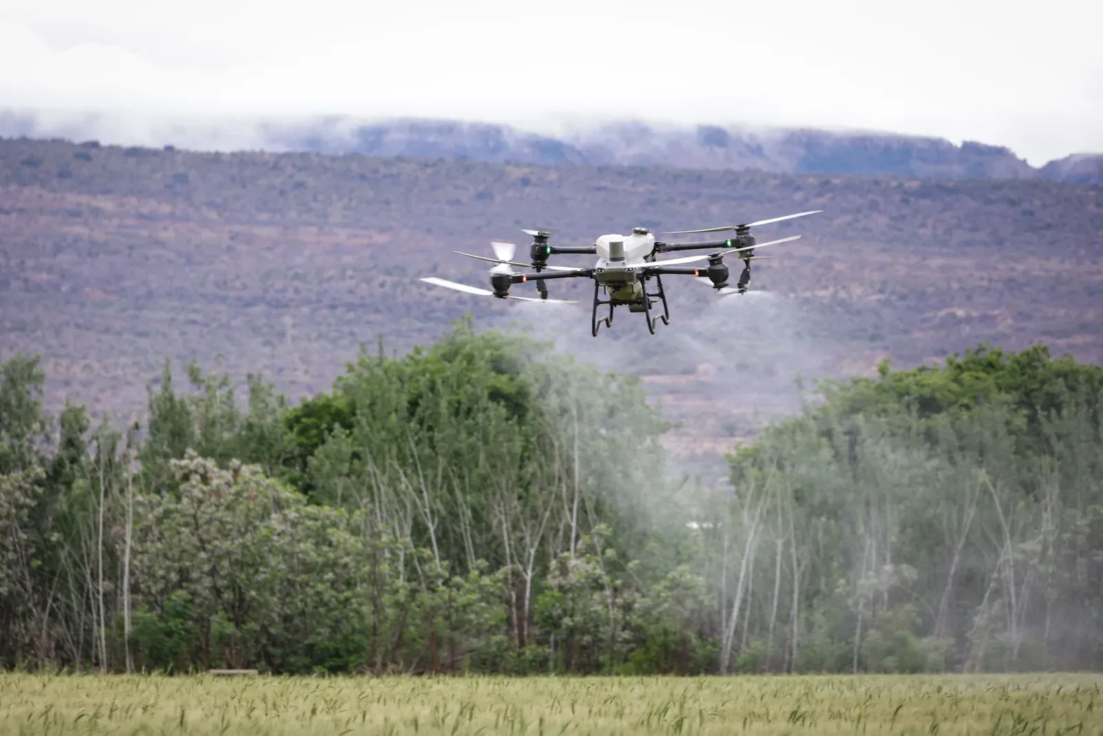 Drone agrícola pulverizando plantação de soja em operação de campo