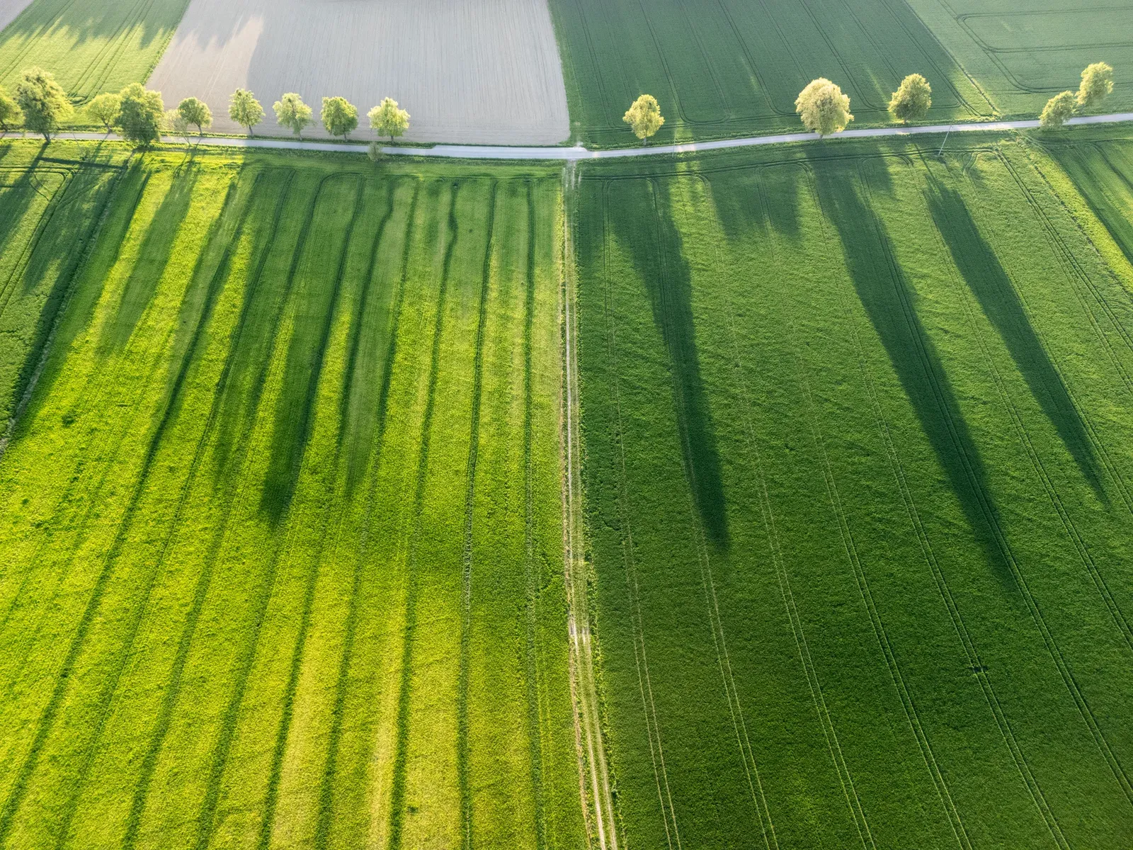 Long-range drone flying over farmland along power lines