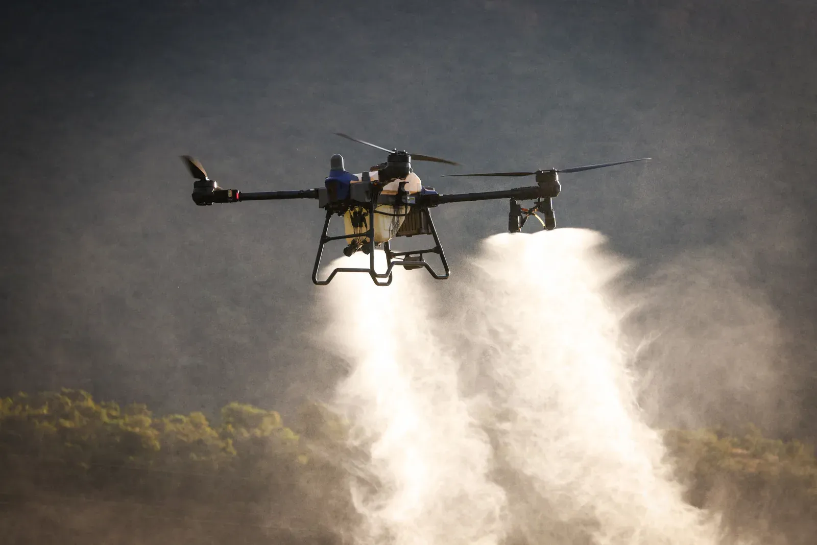 Drone agrícola pulverizando com névoa visível sendo deslocada pelo vento sobre a lavoura