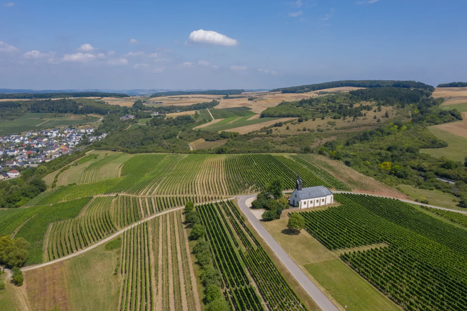 Steep terraced European vineyards on a hillside