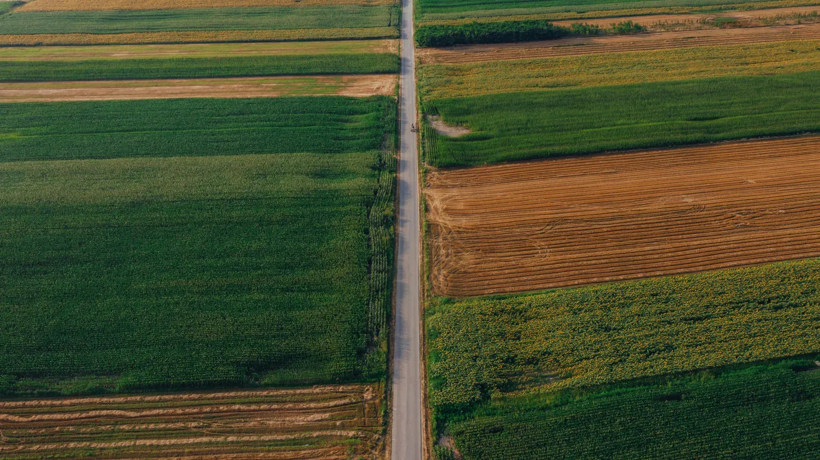 Vista aérea de extensa lavoura de soja no cerrado brasileiro