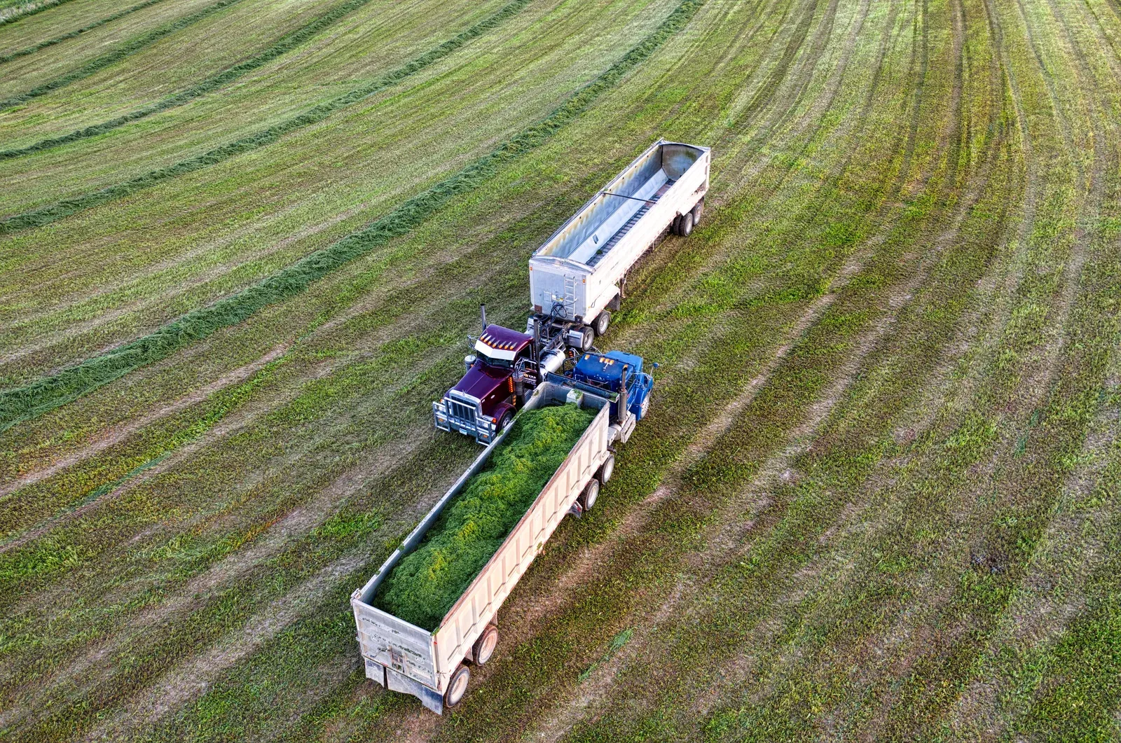 Baterias e equipamentos de apoio para operação de drone agrícola no campo