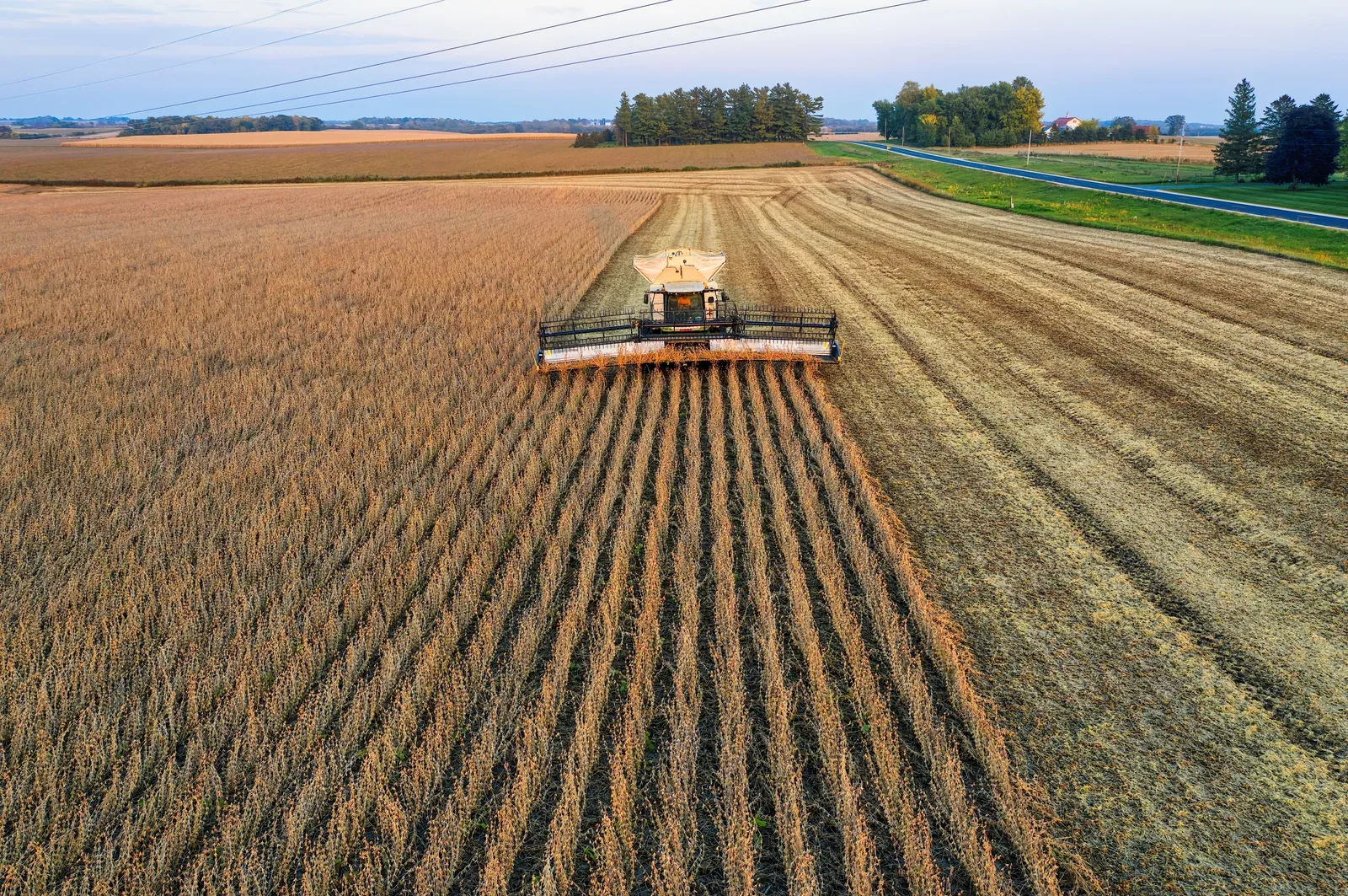 Drone agrícola de pulverização sobrevoando lavoura de soja