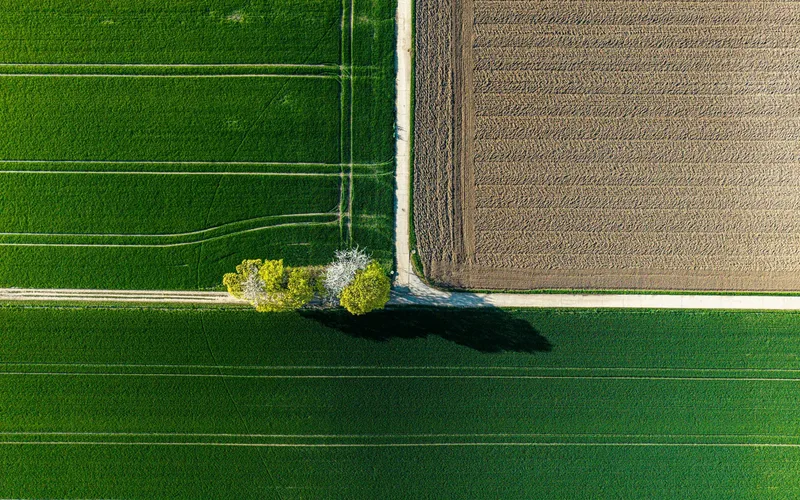 Drone agrícola pulverizando defensivo sobre lavoura verde