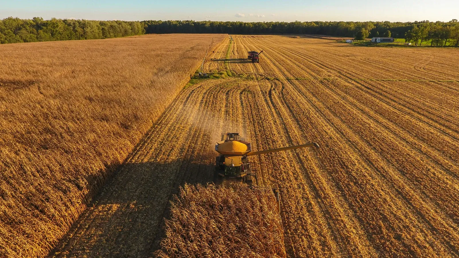 Operador certificado controlando drone agrícola de grande porte durante pulverização