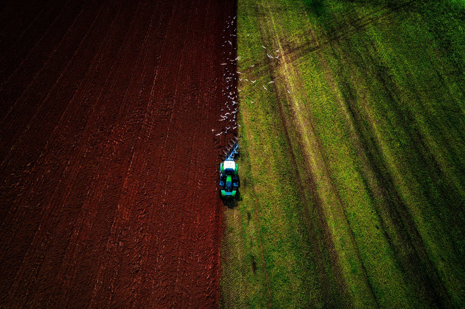 Drone multirrotor de grande porte com tanque de pulverização em campo agrícola