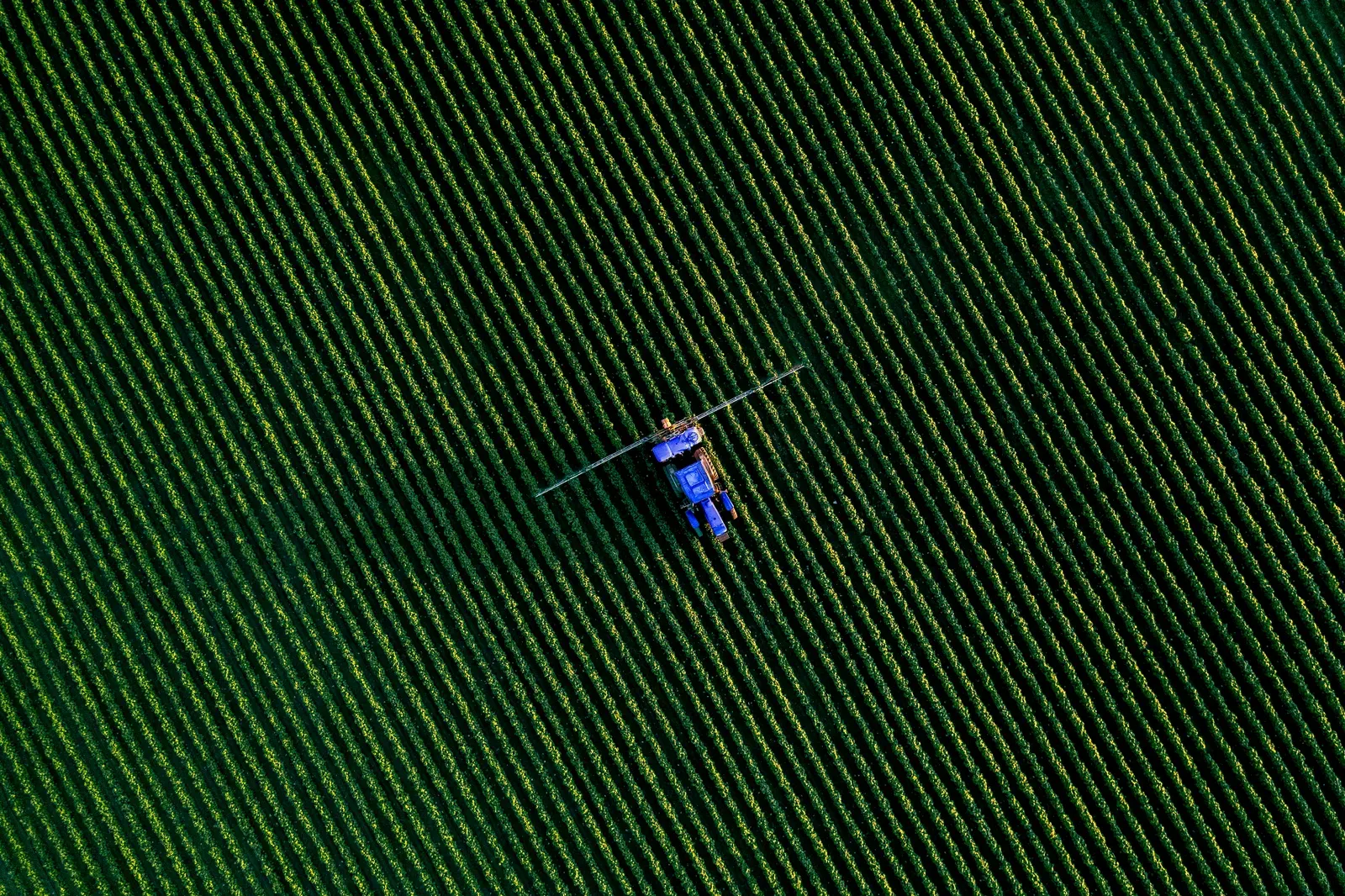 Drone agrícola pulverizando lavoura em operação de baixo risco