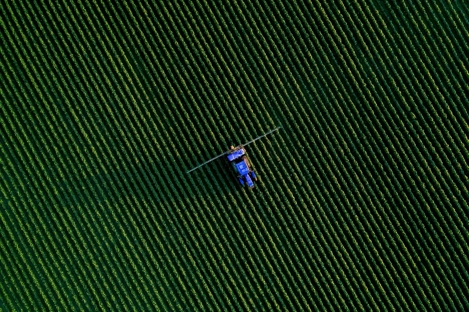 Drone de asa fixa realizando mapeamento aerofotogramétrico sobre plantação