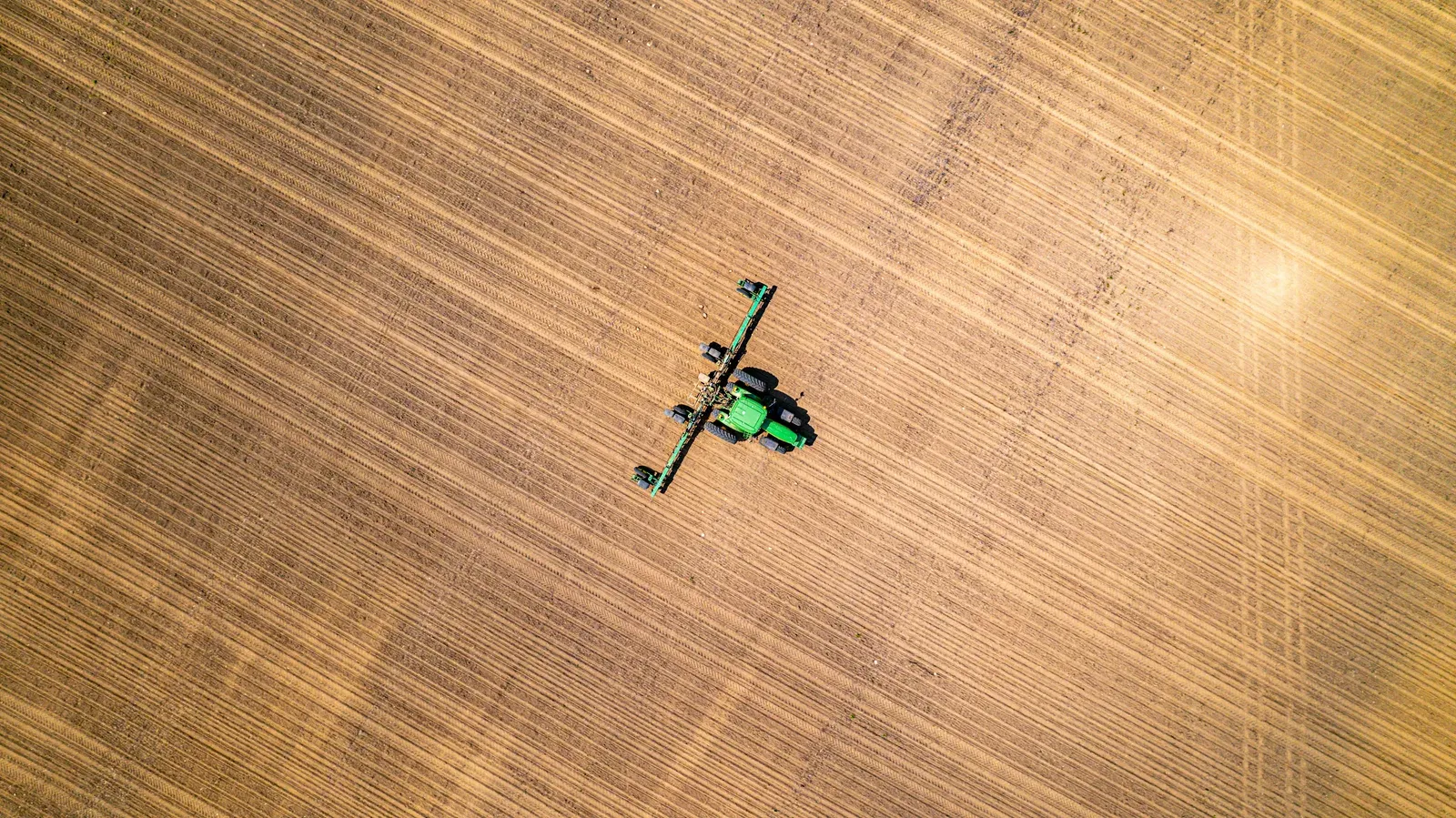 Drone agrícola de grande porte pulverizando lavoura verde ao amanhecer